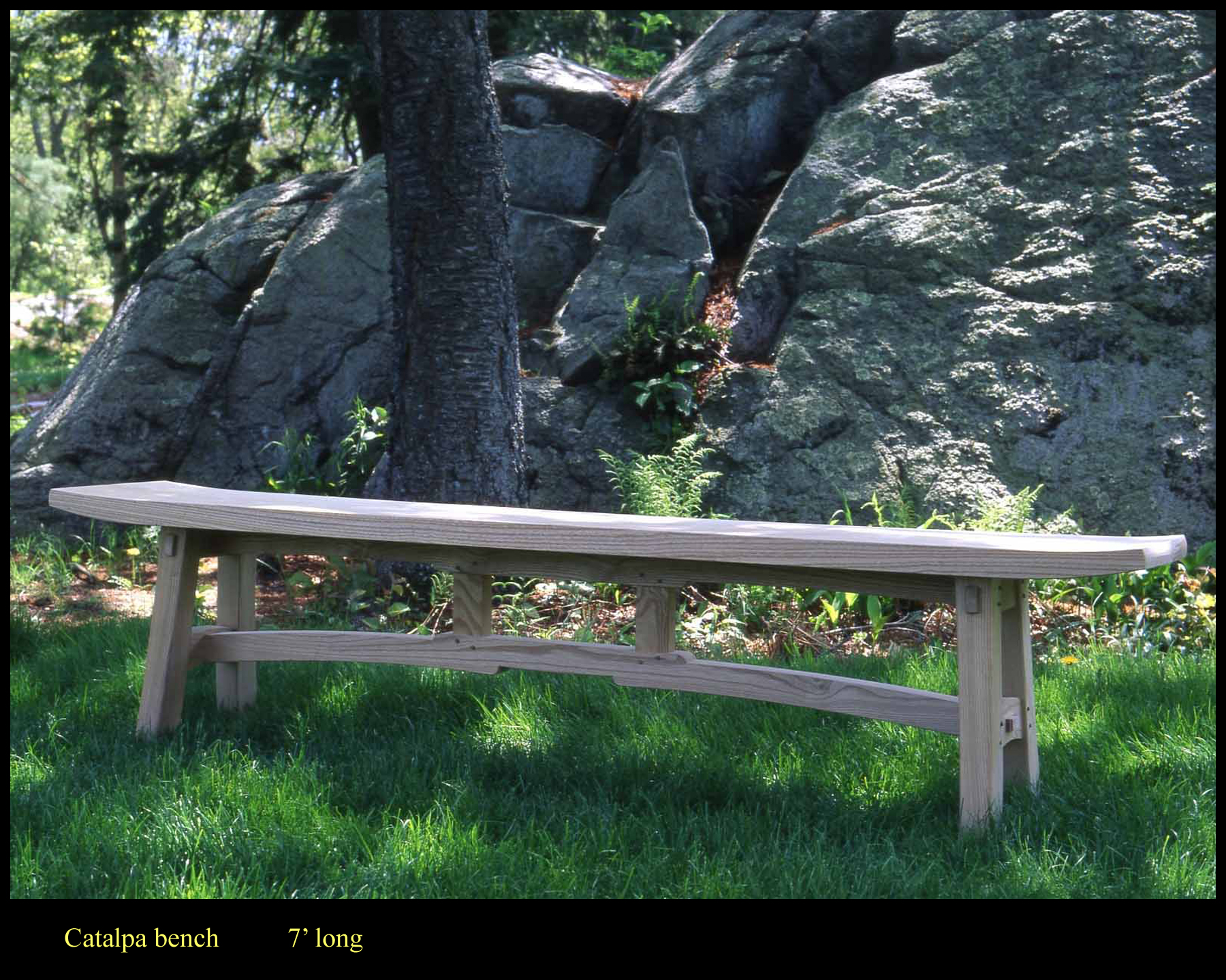 catalpa-bench