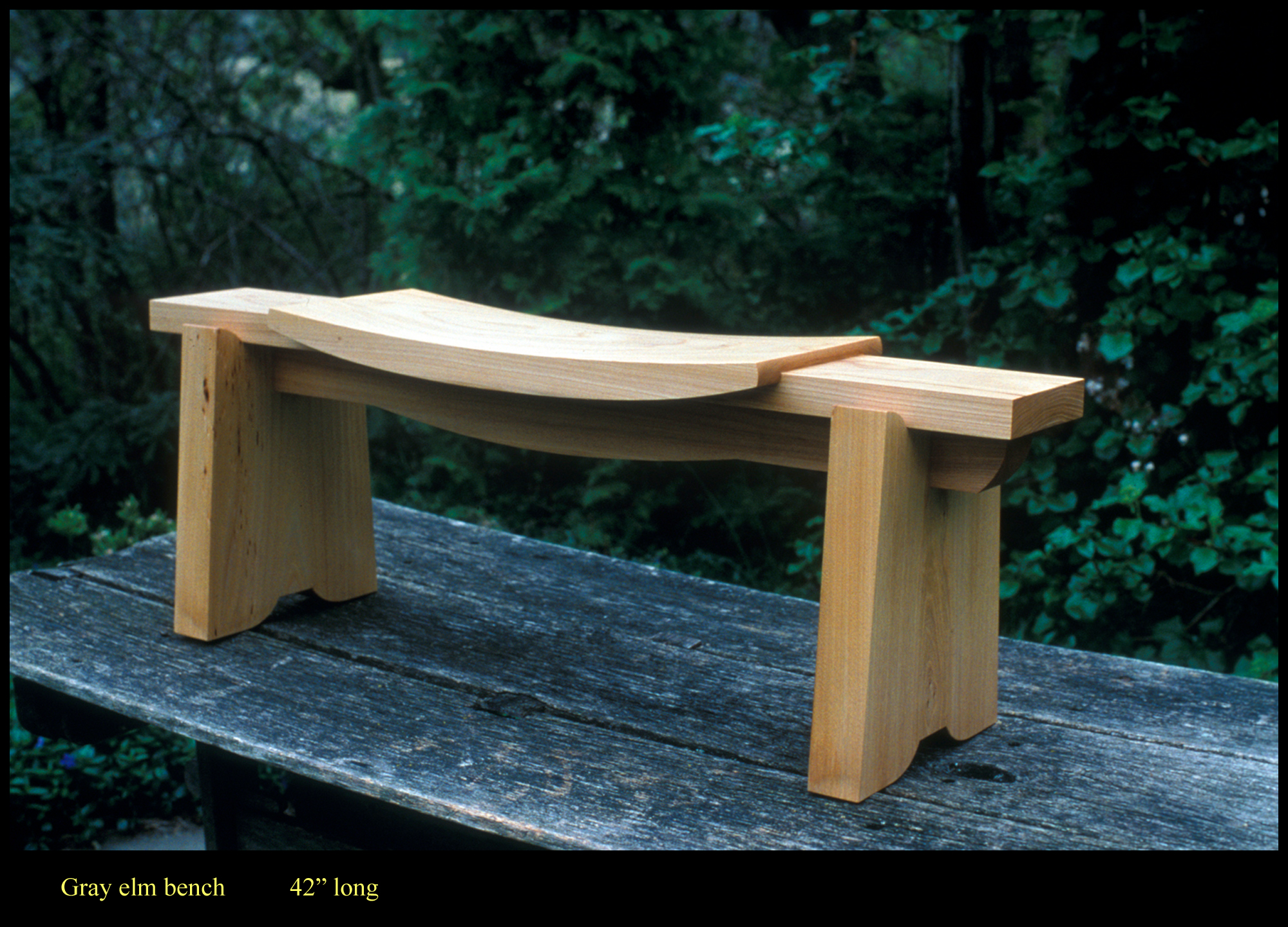 gray-elm-bench