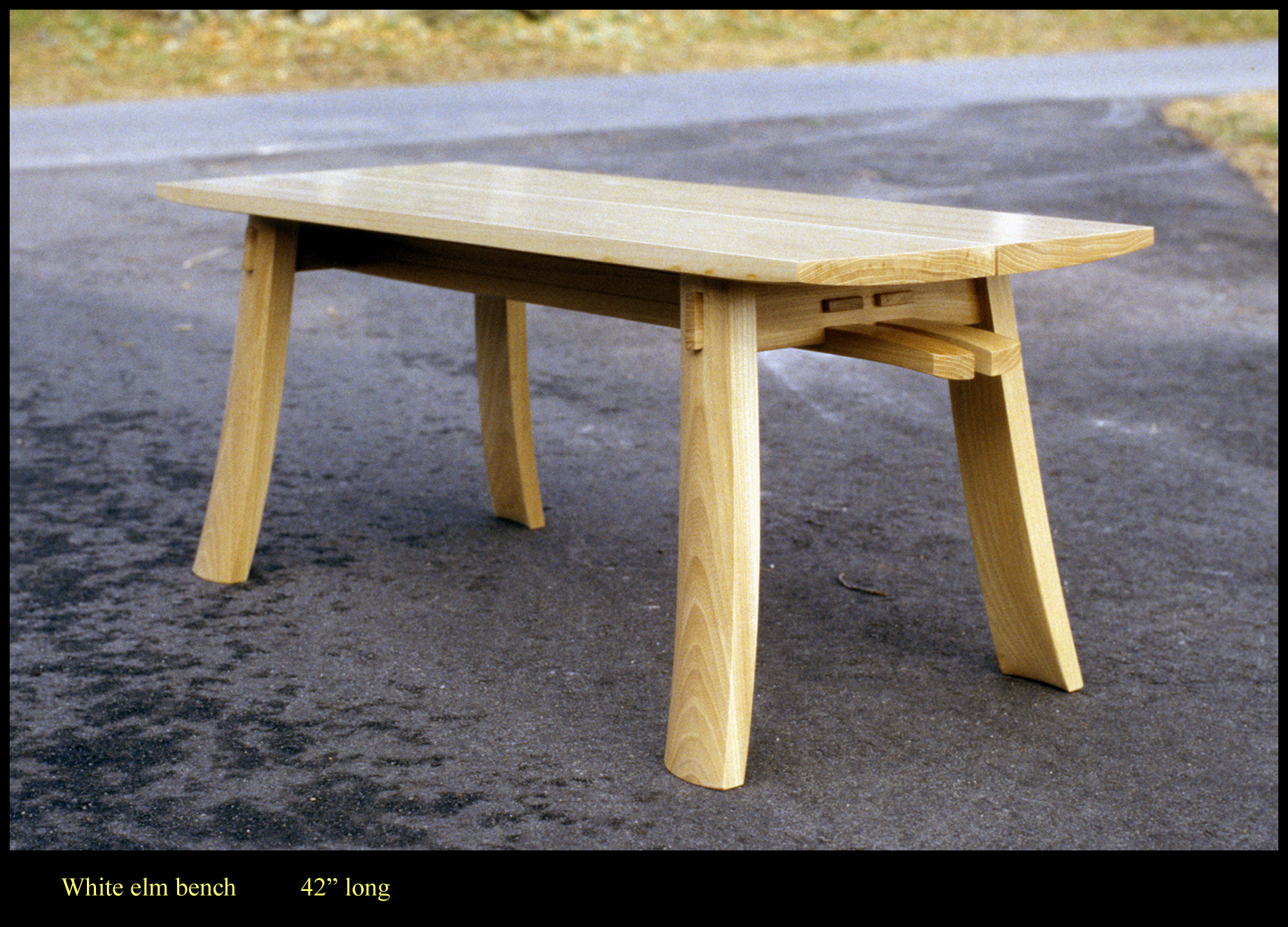 white-elm-bench