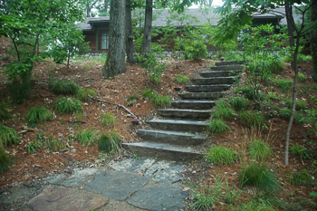 steps-to-a-cottage-in-the-woods_thumb